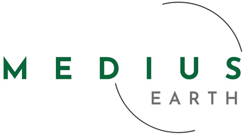 Medius Earth Logo